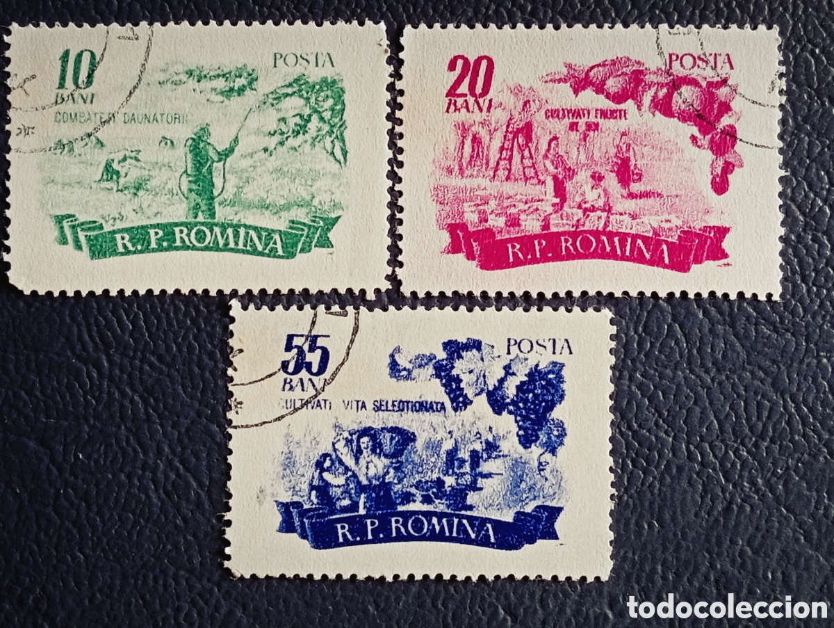 Sellos: RUMAN&Iacute;A 1956 &middot; &rdquo;Agricultura Socialista&rdquo; &middot; Vid &middot; Frutas &middot; Plagas &middot; 10+20+55 Bani &middot; Usados