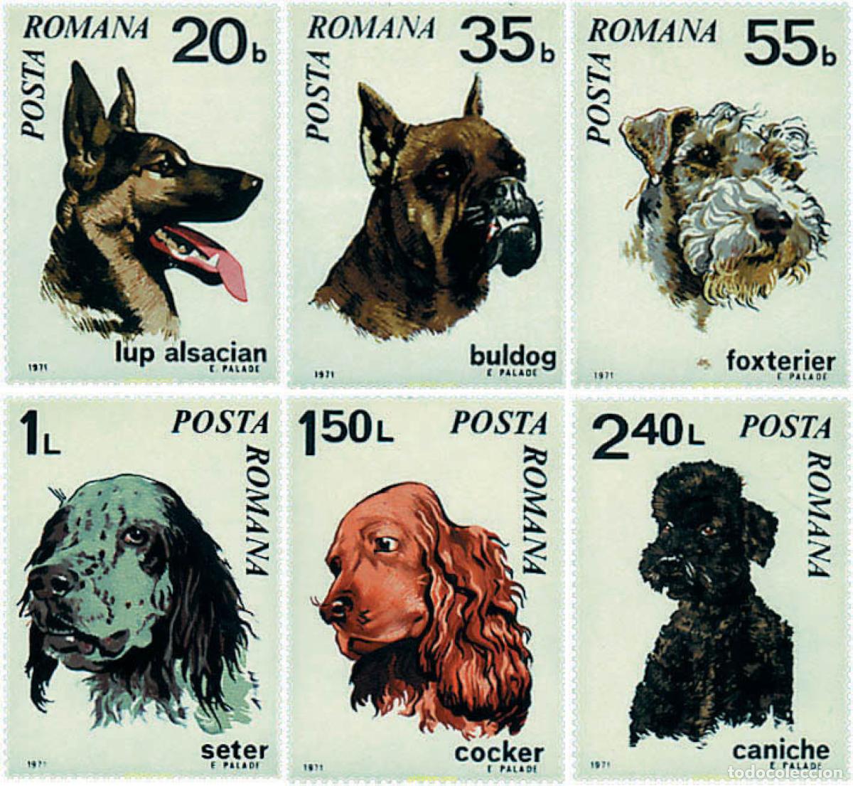 Sellos: 61951 MNH RUMANIA 1971 PERROS DE RAZA