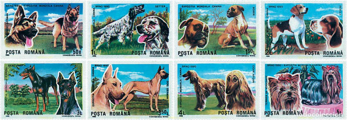 Sellos: 49697 MNH RUMANIA 1990 EXPOSICION CANINA INTERNACIONAL