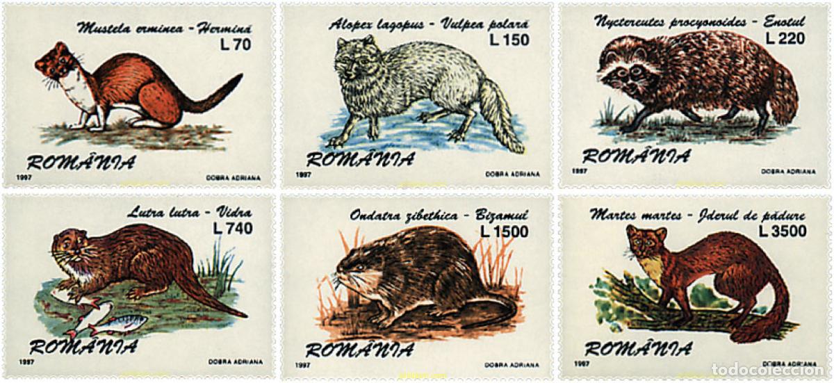 Sellos: 62547 MNH RUMANIA 1997 MAMIFEROS