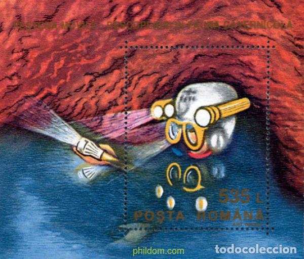 Sellos: 62422 MNH RUMANIA 1993 GRUTA DE MOVILE