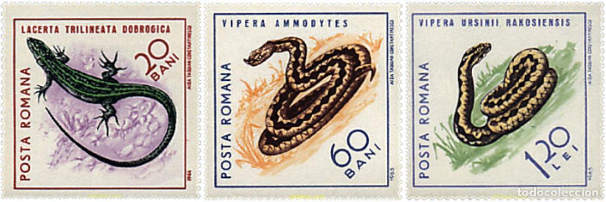 Sellos: 245063 USED RUMANIA 1965 REPTILES