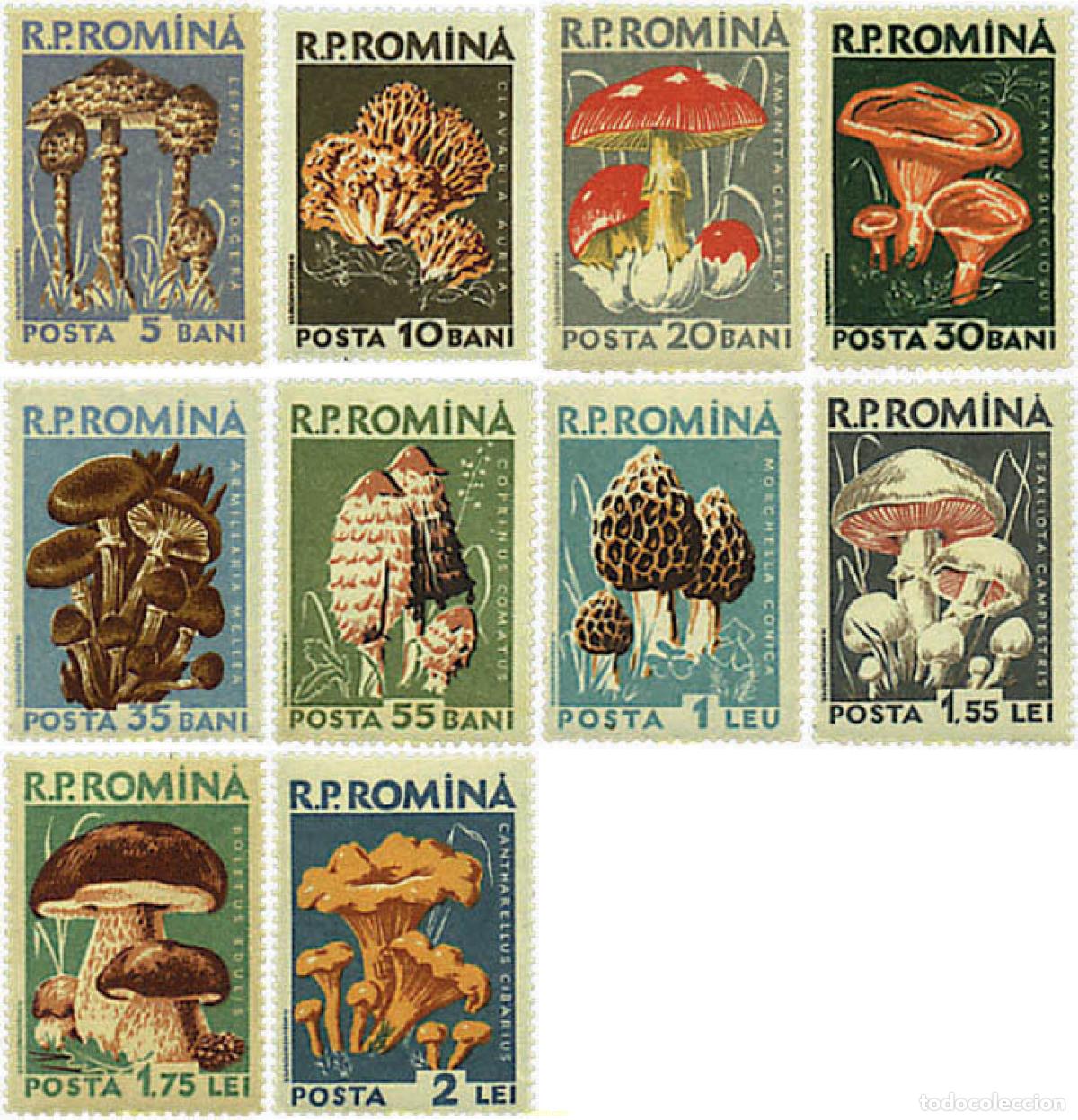 Sellos: 34543 MNH RUMANIA 1958 SETAS