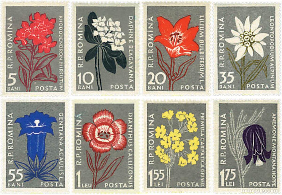 Sellos: 93921 MNH RUMANIA 1957 FLORES SILVESTRES