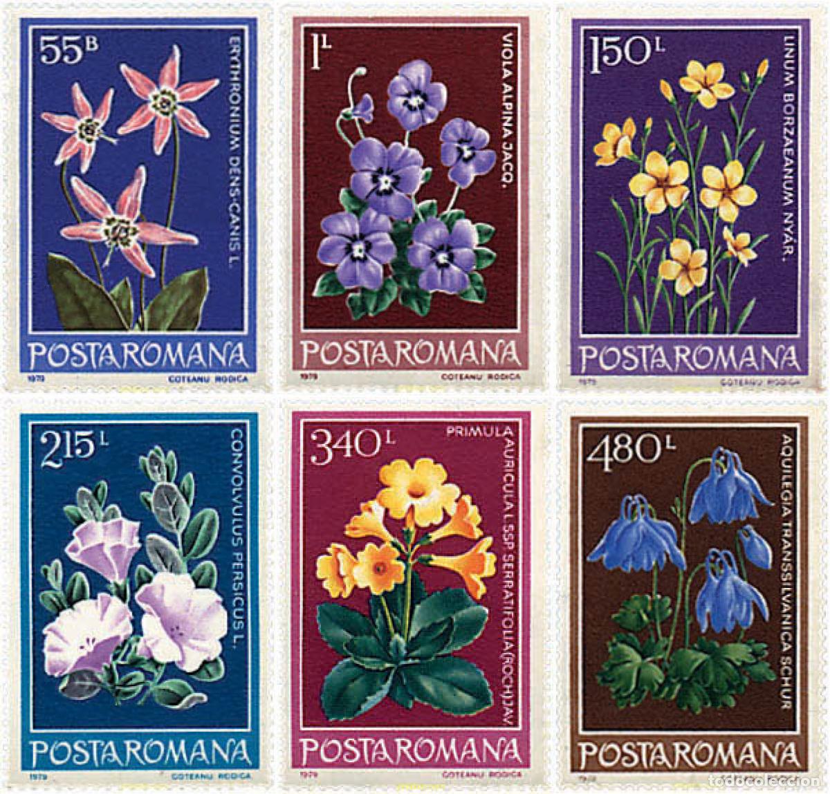 Sellos: 93967 MNH RUMANIA 1979 FLORES