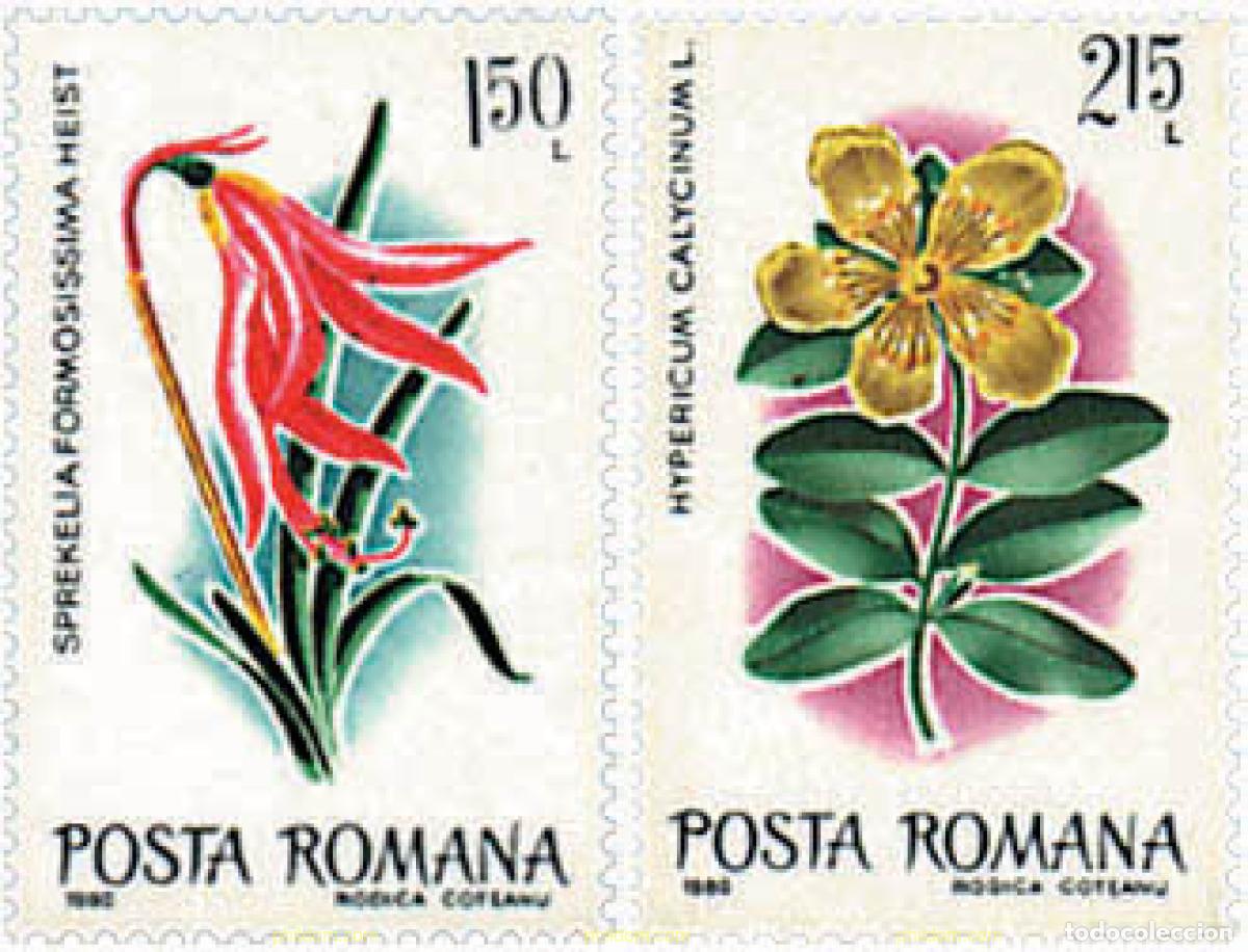 Sellos: 222319 MNH RUMANIA 1980 FLORES CULTIVADAS