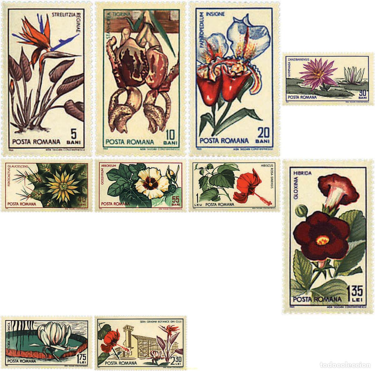 Sellos: 93930 MNH RUMANIA 1965 FLORES DEL JARDIN BOTANICO DE CLUJ