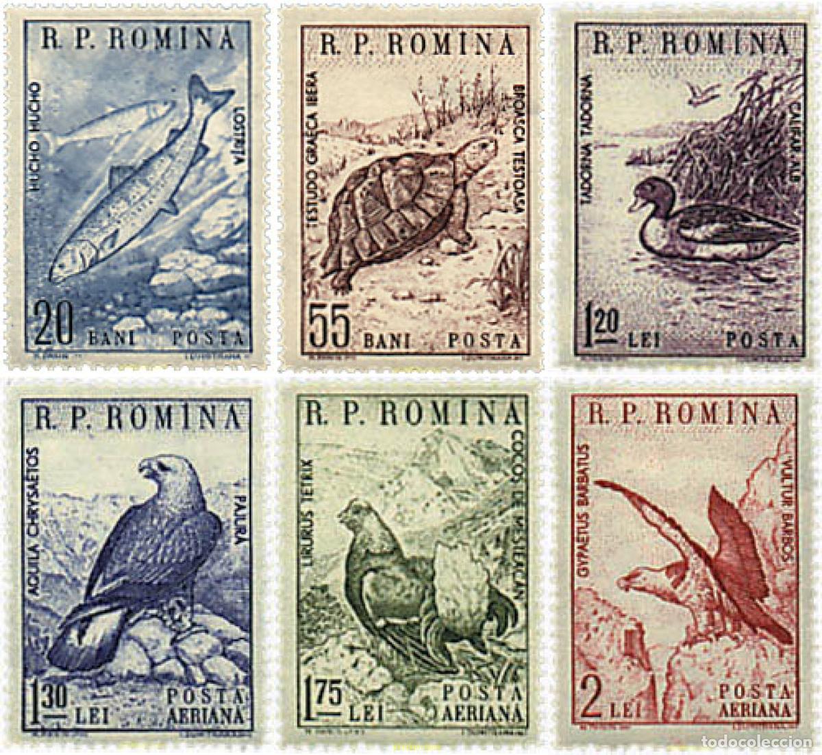 Sellos: 61889 MNH RUMANIA 1960 FAUNA RUMANESA