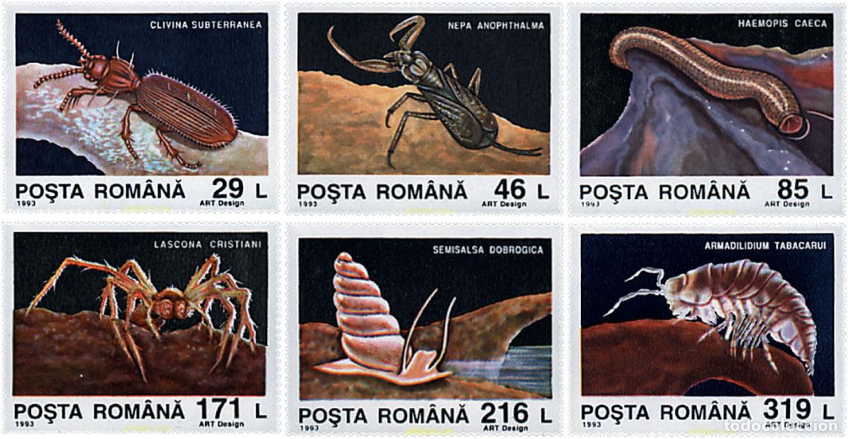 Sellos: 76830 MNH RUMANIA 1993 FAUNA DE LA GRUTA DE MOVILE