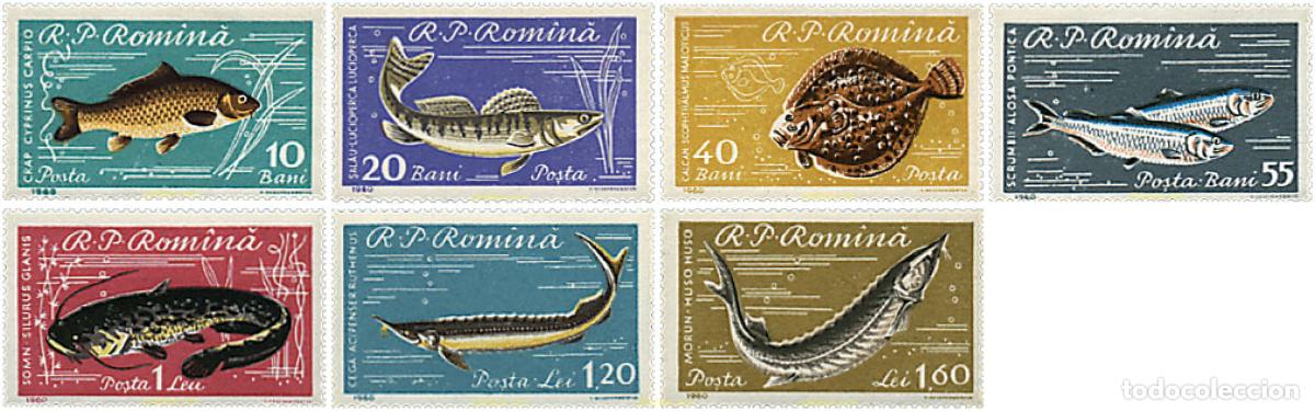 Sellos: 234575 USED RUMANIA 1960 PECES DEL MAR NEGRO