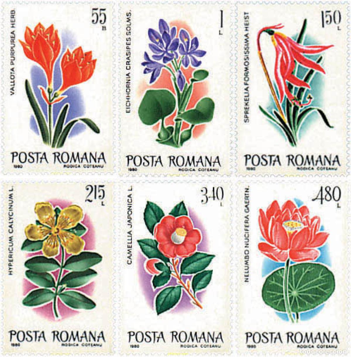 Sellos: 93973 MNH RUMANIA 1980 FLORES CULTIVADAS