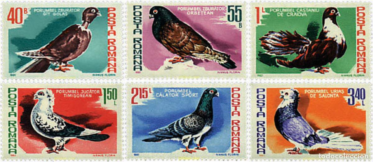 Sellos: 62033 MNH RUMANIA 1981 PALOMAS