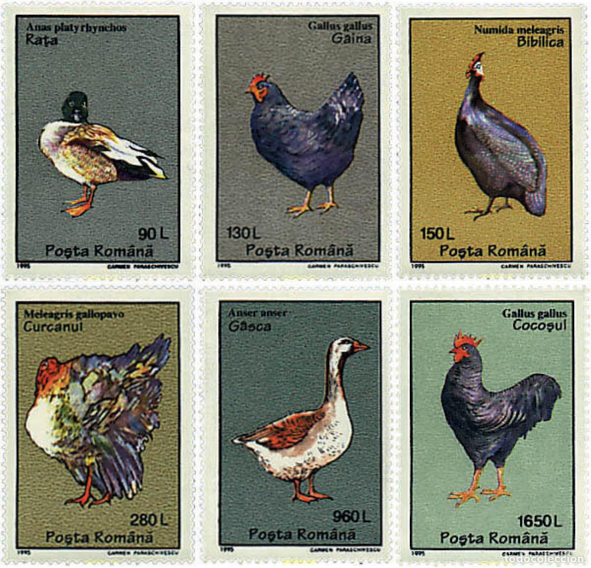 Sellos: 35779 MNH RUMANIA 1995 AVES DE CORRAL