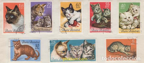 Sellos: 633735 USED RUMANIA 1965 GATOS