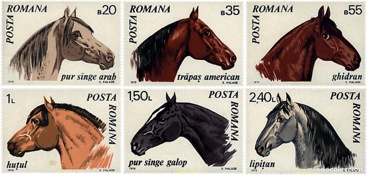 Sellos: 61948 MNH RUMANIA 1970 CABALLOS