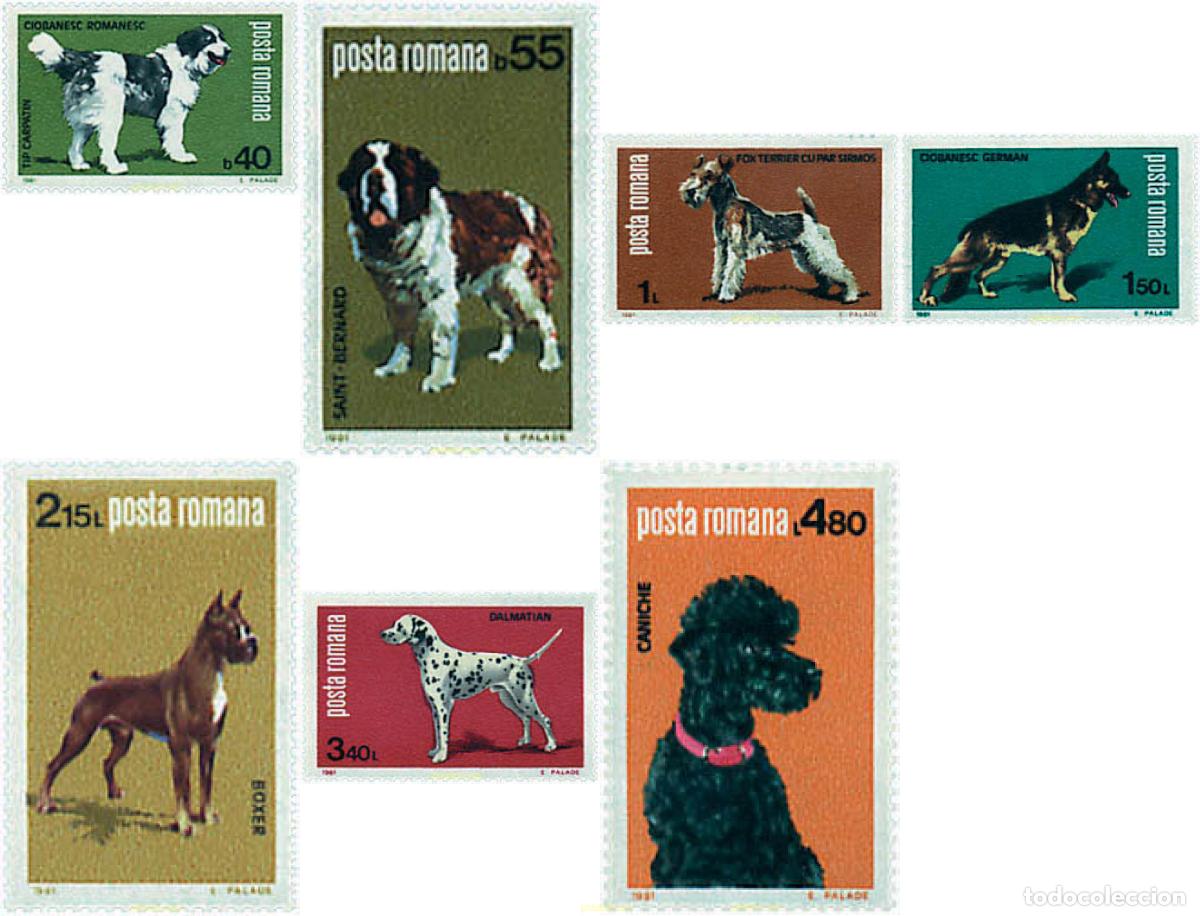 Sellos: 49696 MNH RUMANIA 1981 EXPOSICION CANINA NACIONAL