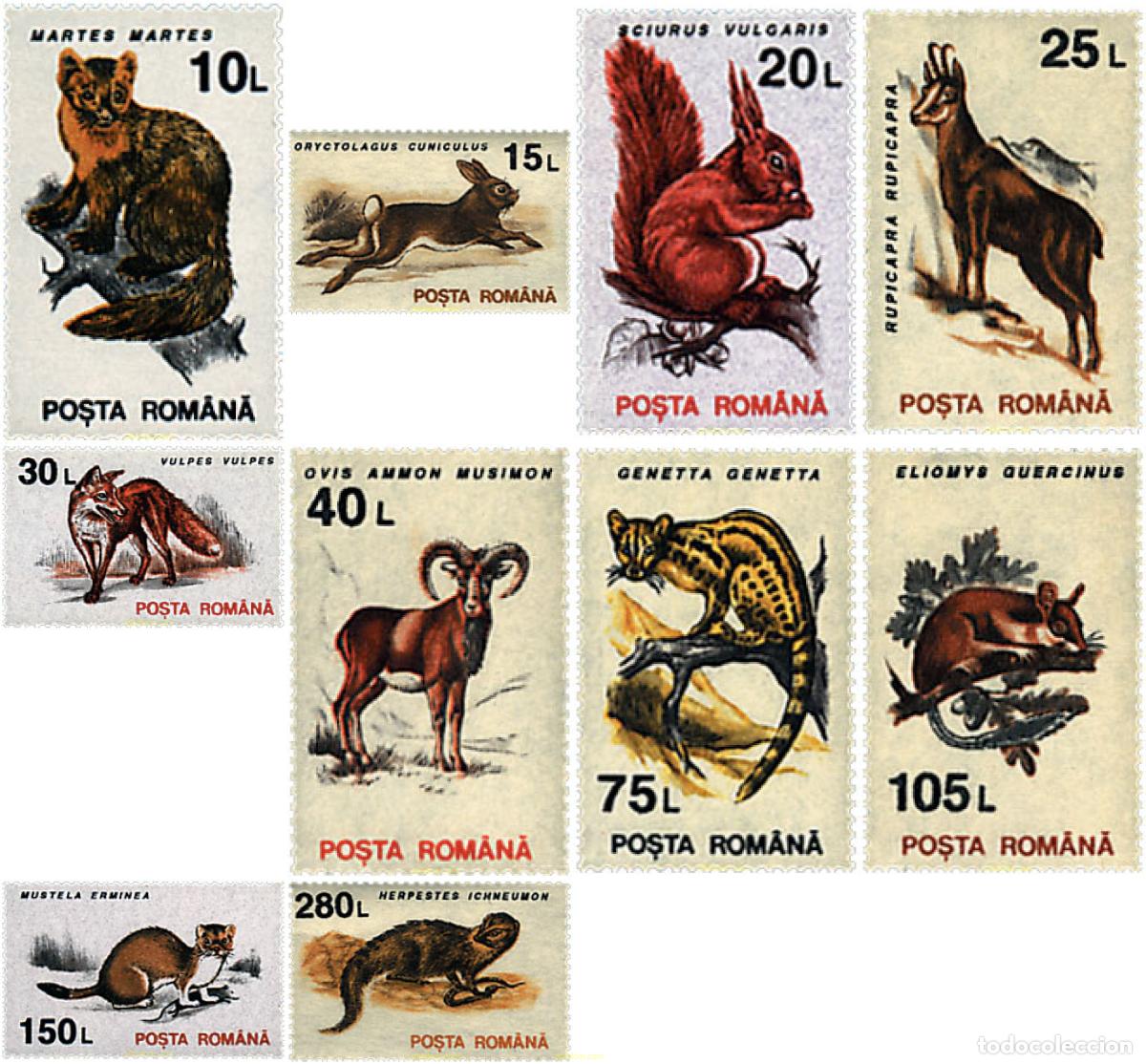Sellos: 62411 MNH RUMANIA 1993 FAUNA