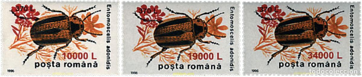 Sellos: 62554 MNH RUMANIA 2000 INSECTOS