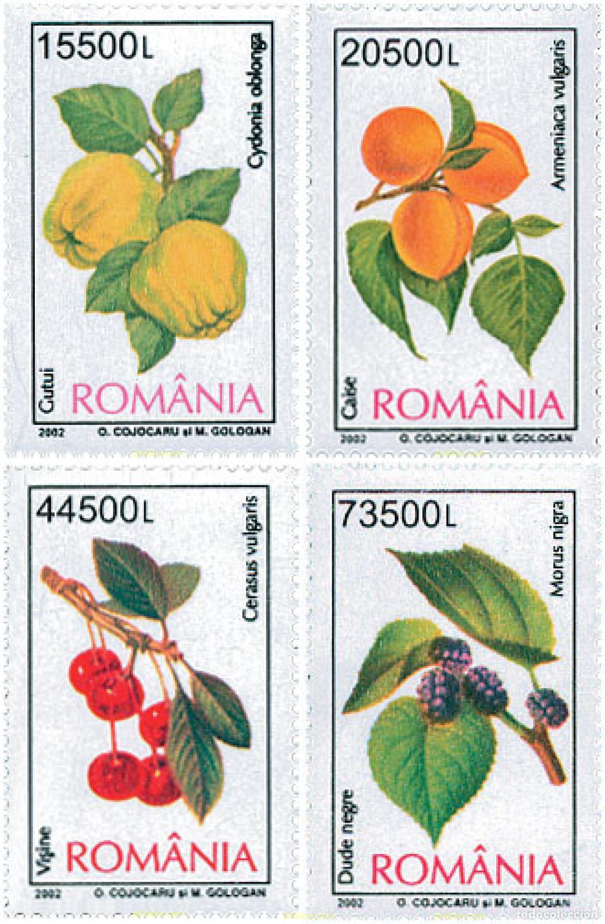 Sellos: 114636 MNH RUMANIA 2002 FRUTOS