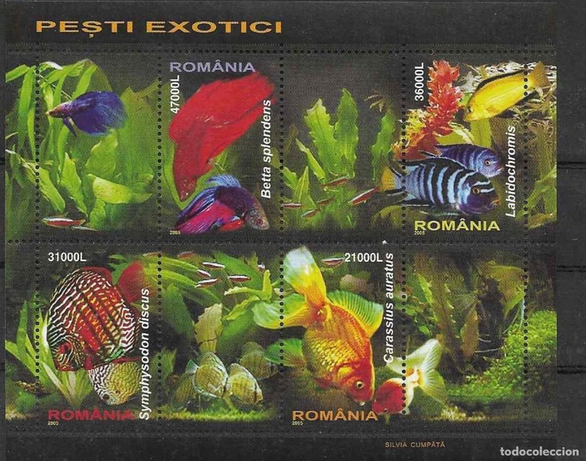 Sellos: HB** RUMANIA 2005, YT 285