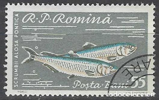 Sellos: RUMAN&Iacute;A 1960 - FAUNA, PECES, ALOSAS - USADO