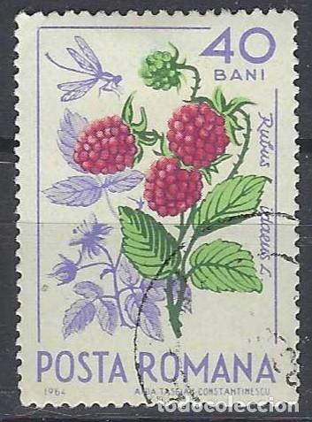 Sellos: RUMAN&Iacute;A 1964 - FRUTOS DEL BOSQUE - USADO
