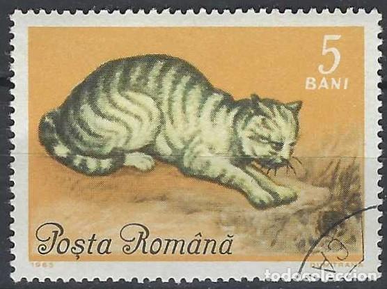 Sellos: RUMAN&Iacute;A 1965 - FAUNA, GATOS - USADO