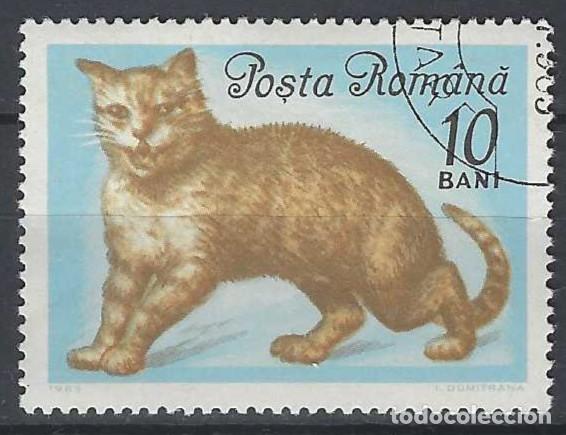 Sellos: RUMAN&Iacute;A 1965 - FAUNA, GATOS - USADO
