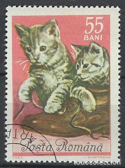 Sellos: RUMAN&Iacute;A 1965 - FAUNA, GATOS - USADO