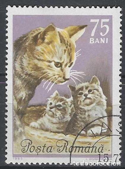 Sellos: RUMAN&Iacute;A 1965 - FAUNA, GATOS - USADO