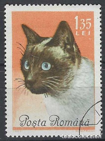 Sellos: RUMAN&Iacute;A 1965 - FAUNA, GATOS - USADO