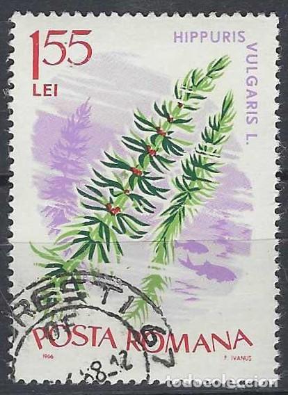 Sellos: RUMAN&Iacute;A 1966 - FLORA ACU&Aacute;TICA - USADO