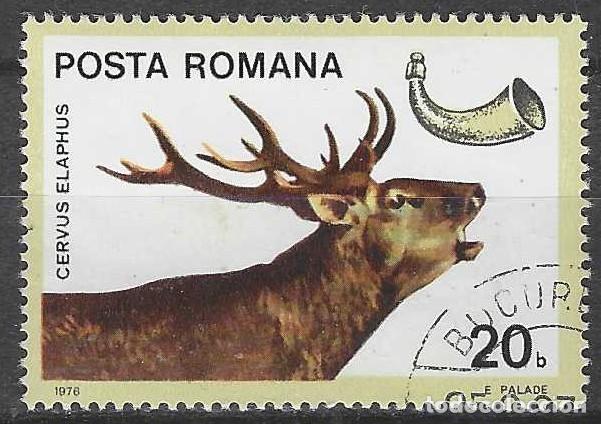 Sellos: RUMAN&Iacute;A 1976 - FAUNA DE CAZA, CIERVO - USADO