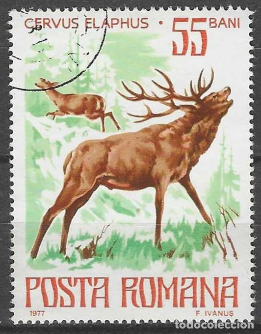 Sellos: RUMAN&Iacute;A 1977 - FAUNA PROTEGIDA, CIERVO - USADO