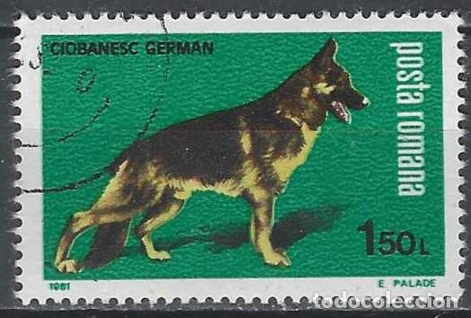 Sellos: RUMAN&Iacute;A 1981 - EXPO. NACIONAL CANINA, PASTOR ALEM&Aacute;N - USADO