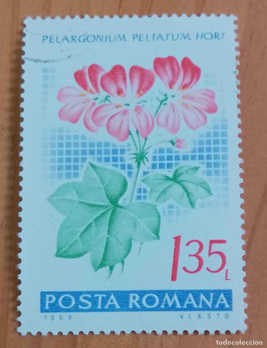 Sellos: RUMANIA - V/F 1,35 LEI - A&Ntilde;O 1968 - PELARGONIUM PELTATUM HORT, PLANTA, FLORA.
