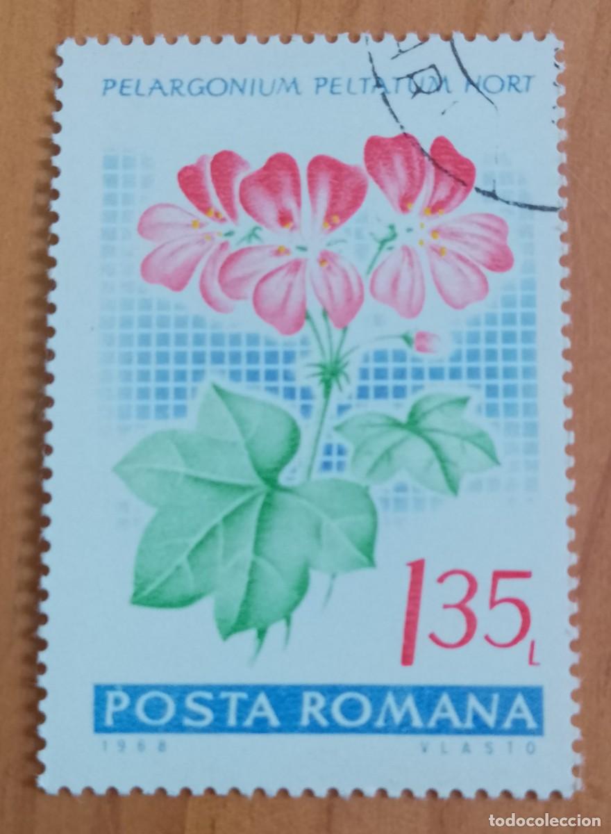 Sellos: RUMANIA - V/F 1,35 LEI - A&Ntilde;O 1968 - PELARGONIUM PELTATUM HORT, PLANTA, FLORA.