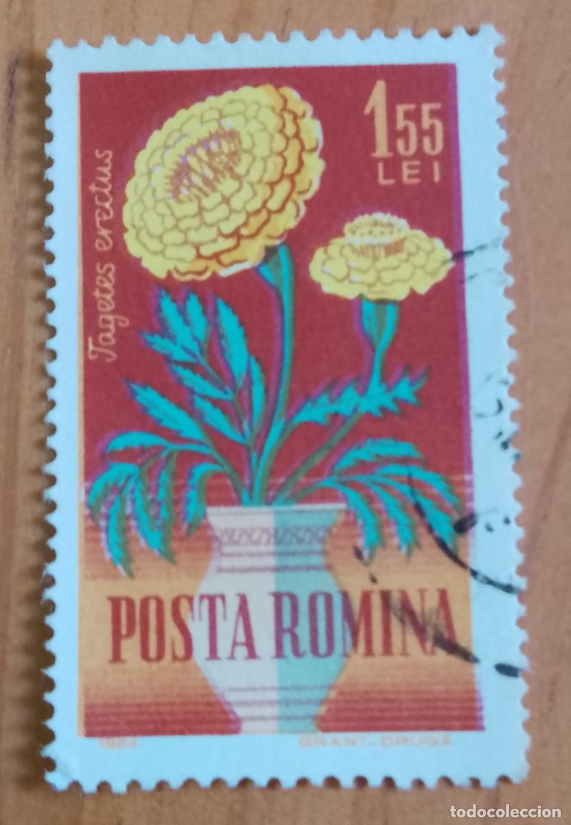 Sellos: RUMANIA - V/F 1,55 LEI - A&Ntilde;O 1964 - TAGETES ERECTUS, PLANTA, FLORA.