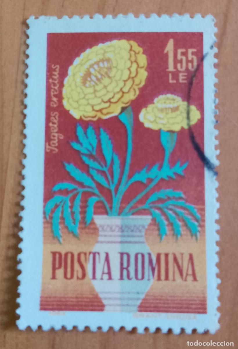 Sellos: RUMANIA - V/F 1,55 LEI - A&Ntilde;O 1964 - TAGETES ERECTUS, PLANTA, FLORA.