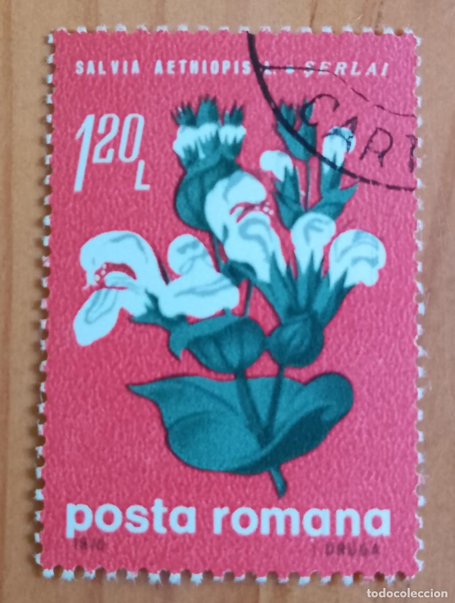 Sellos: RUMANIA - V/F 1,20 LEI - A&Ntilde;O 1970 - SALVIA AETHIOPIS, PLANTA, FLORA.