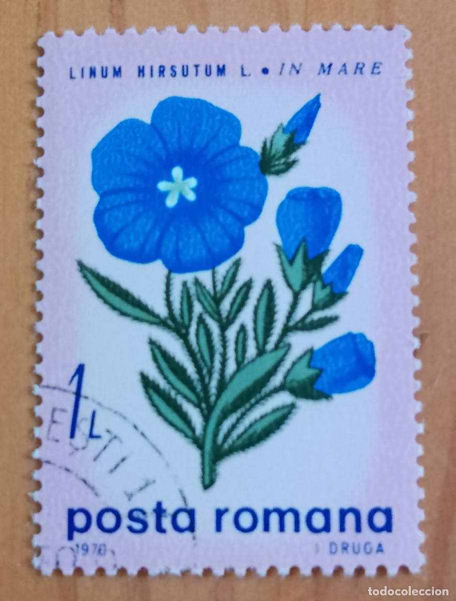 Sellos: RUMANIA - V/F 1 LEI - A&Ntilde;O 1970 - LINUM HIRSUTUM, PLANTA SILVESTRE, FLORA.