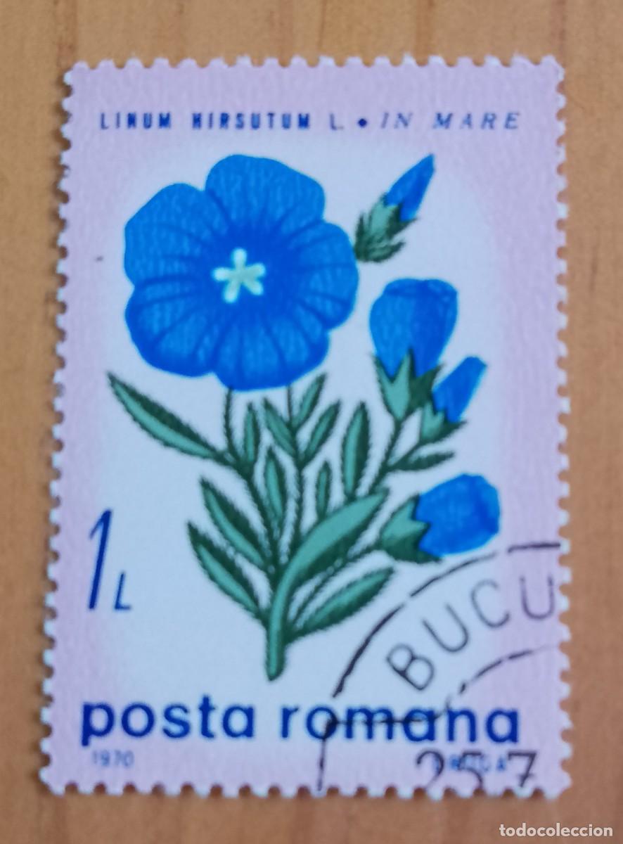 Sellos: RUMANIA - V/F 1 LEI - A&Ntilde;O 1970 - LINUM HIRSUTUM, PLANTA SILVESTRE, FLORA.