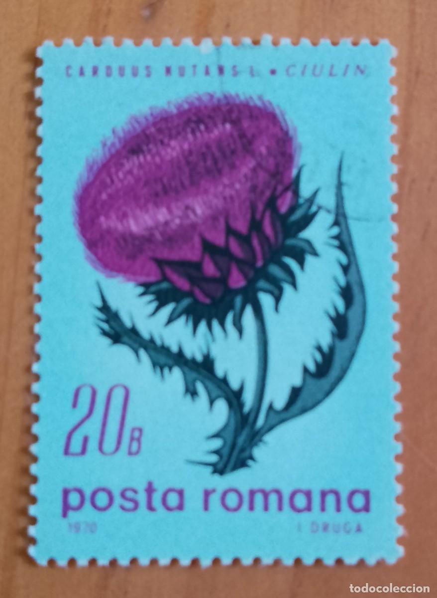 Sellos: RUMANIA - V/F 20 B - A&Ntilde;O 1970 - CARDUUS NUTANS L. CIULIN, PLANTA PERENNE, FLORA - YV 2510