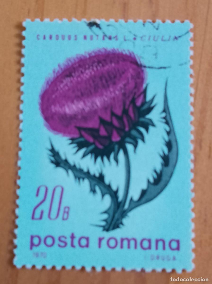 Sellos: RUMANIA - V/F 20 B - A&Ntilde;O 1970 - CARDUUS NUTANS L. CIULIN, PLANTA PERENNE, FLORA - YV 2510