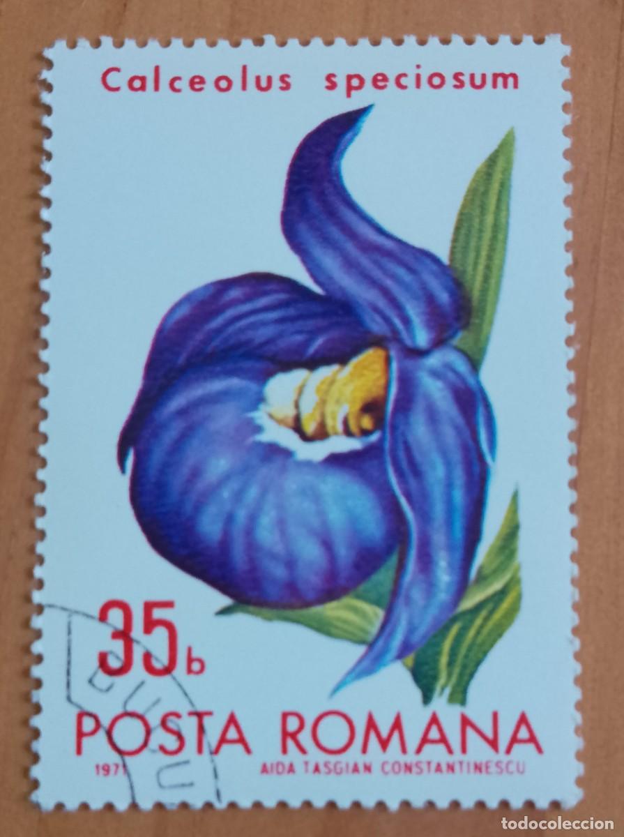 Sellos: RUMANIA - V/F 35 B - A&Ntilde;O 1971 - CALCEOLUS SPECOSUM U ORQUIDE VERD O ZAPATITO DE DAMA - PLANTA, FAUNA