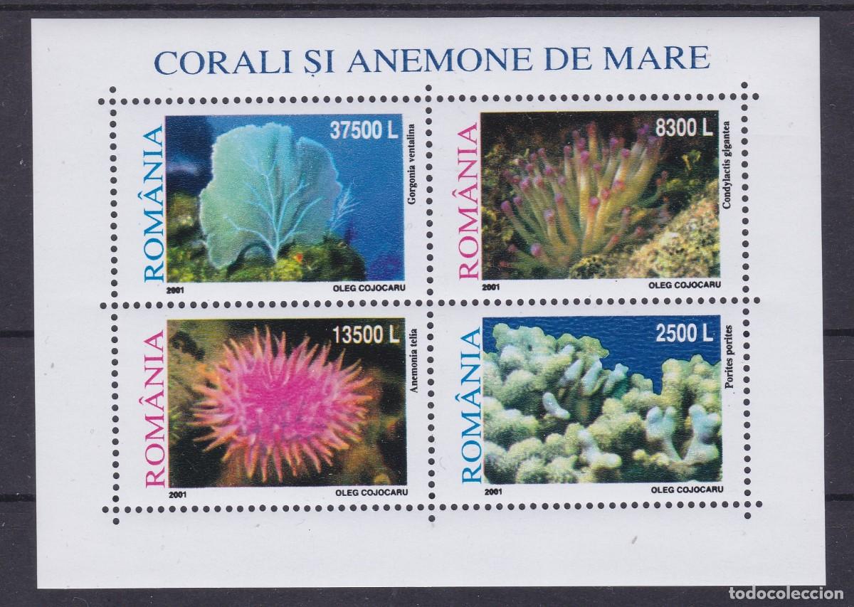 Sellos: Ruman&iacute;a 2001 - Corales bloque sin fijasellos -MNH-