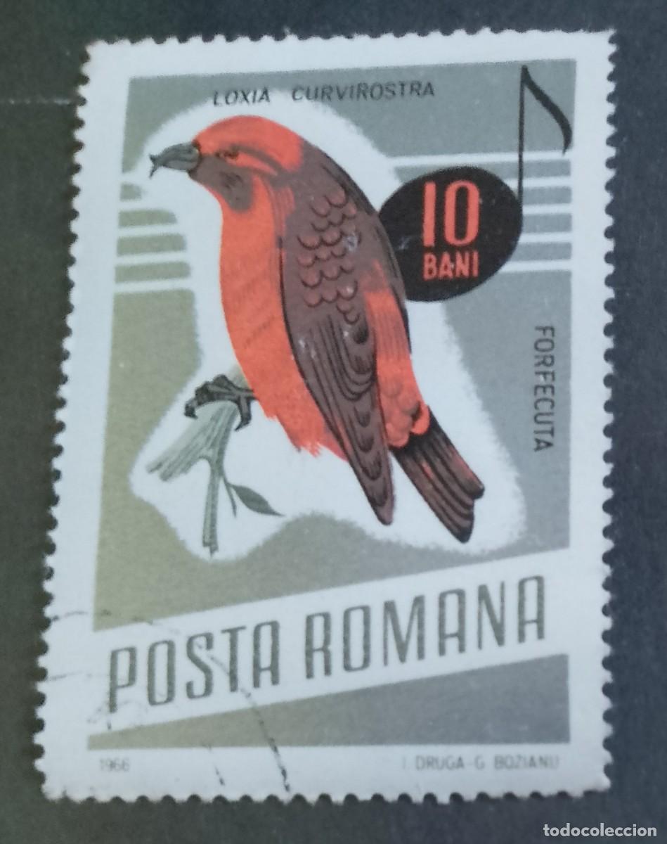 Sellos: RUMANIA - V/F 10 BANI - FAUNA, AVE, P&Aacute;JARO, PIQUIPUERTO COM&Uacute;N - VER DESCRIPCI&Oacute;N.