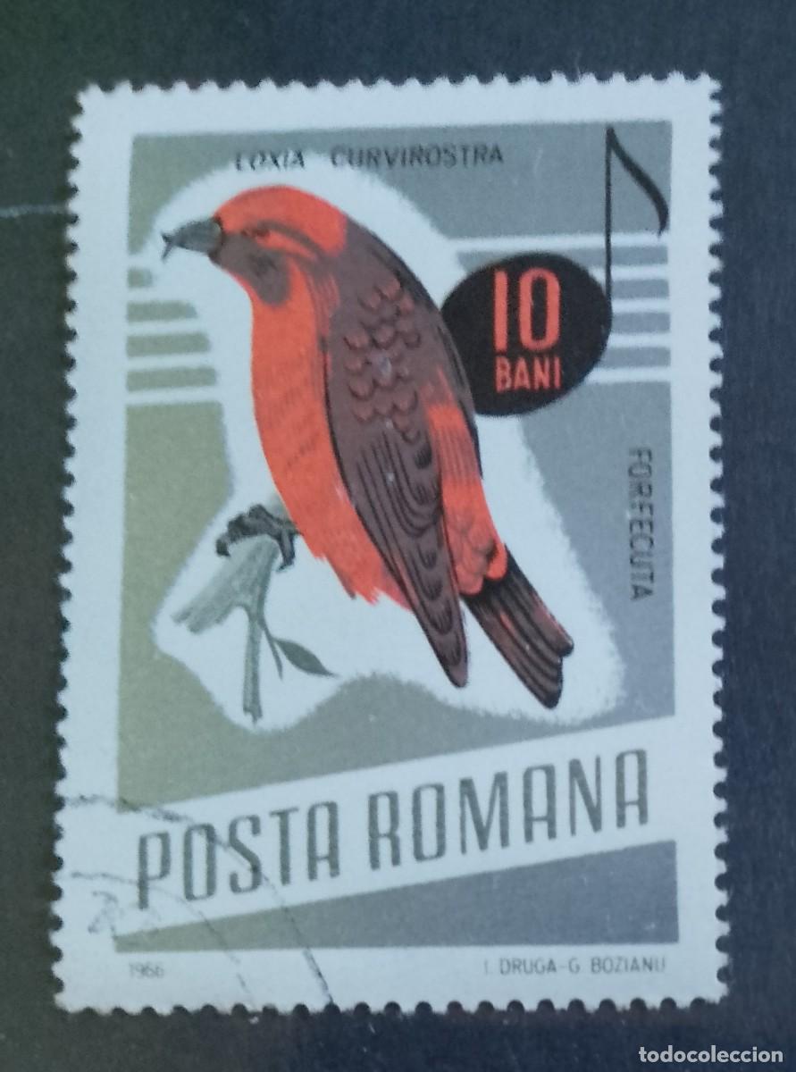 Sellos: RUMANIA - V/F 10 BANI - FAUNA, AVE, P&Aacute;JARO, PIQUIPUERTO COM&Uacute;N - VER DESCRIPCI&Oacute;N.