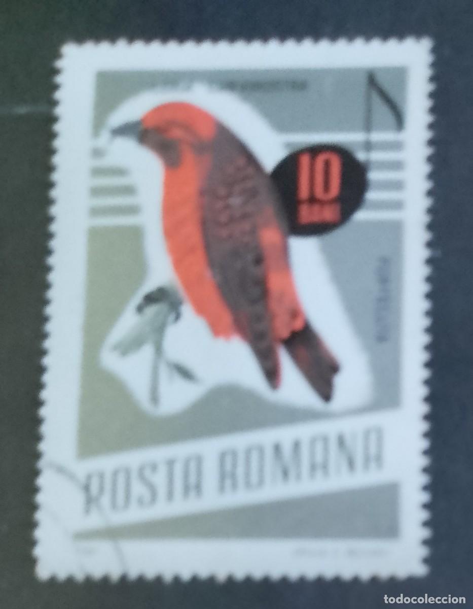 Sellos: RUMANIA - V/F 10 BANI - FAUNA, AVE, P&Aacute;JARO, PIQUIPUERTO COM&Uacute;N - VER DESCRIPCI&Oacute;N.