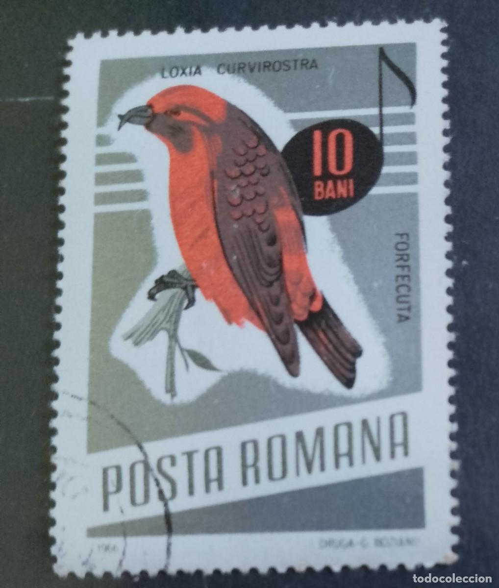 Sellos: RUMANIA - V/F 10 BANI - FAUNA, AVE, P&Aacute;JARO, PIQUIPUERTO COM&Uacute;N - VER DESCRIPCI&Oacute;N.